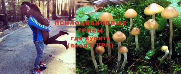 экстази Аркадак