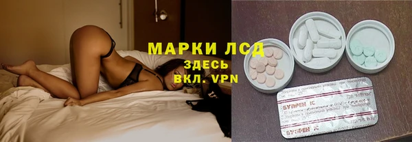 шишки Арсеньев