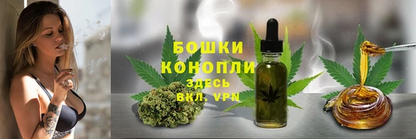 шишки Арсеньев
