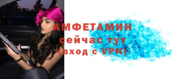 шишки Арсеньев
