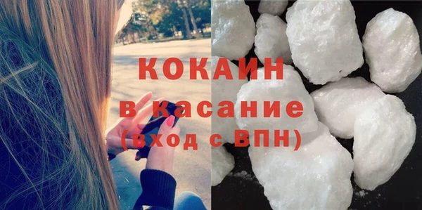 шишки Арсеньев