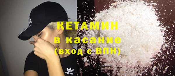 шишки Арсеньев