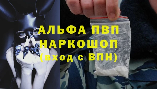 шишки Арсеньев