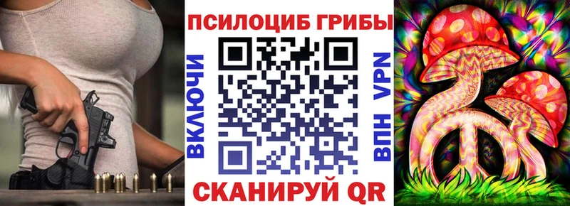 Псилоцибиновые грибы Psilocybe  Ясногорск 